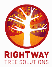 Rightway Tree Solutions
