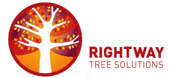 Rightway Tree Solutions Brisbane